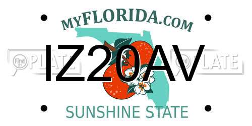 IZ20AV Florida License Plate