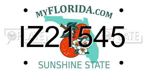 IZ21545 Florida License Plate