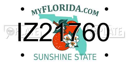 IZ21760 Florida License Plate
