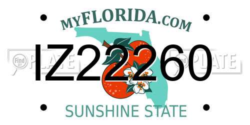 IZ22260 Florida License Plate