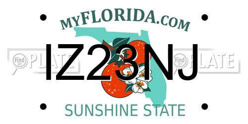 IZ23NJ Florida License Plate