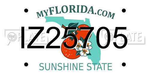 IZ25705 Florida License Plate