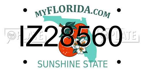 IZ28560 Florida License Plate