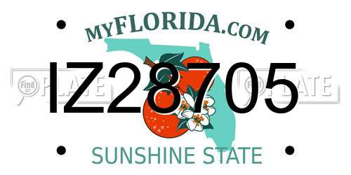 IZ28705 Florida License Plate