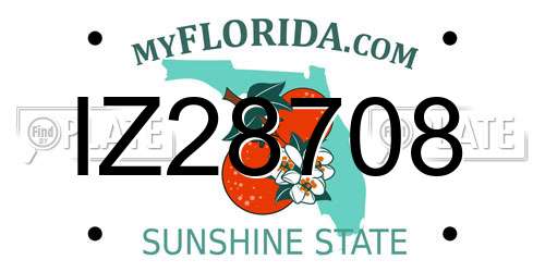 IZ28708 Florida License Plate