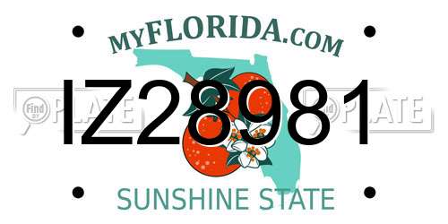IZ28981 Florida License Plate