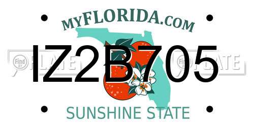 IZ2B705 Florida License Plate