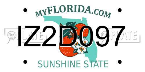 IZ2D097 Florida License Plate