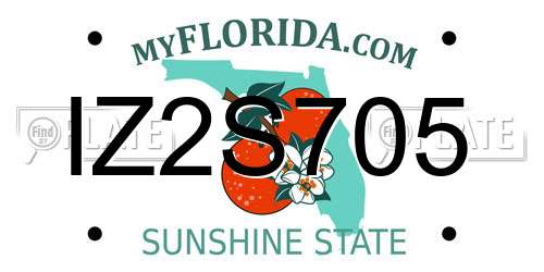 IZ2S705 Florida License Plate