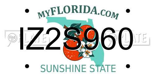IZ2S960 Florida License Plate