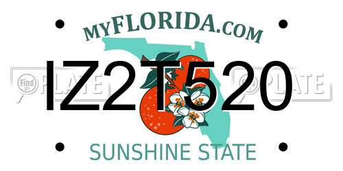 IZ2T520 Florida License Plate