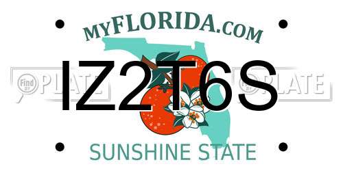 IZ2T6S Florida License Plate
