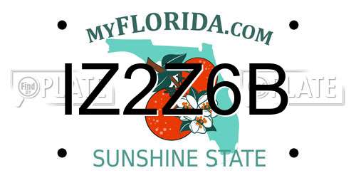 IZ2Z6B Florida License Plate