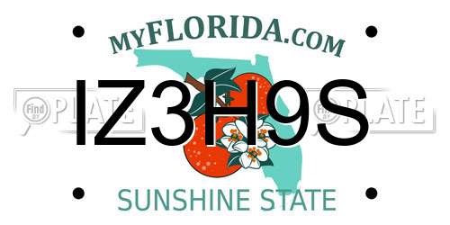 IZ3H9S Florida License Plate
