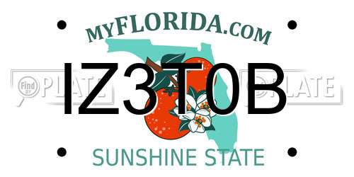 IZ3T0B Florida License Plate