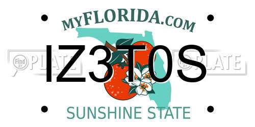 IZ3T0S Florida License Plate