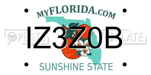 IZ3Z0B Florida License Plate