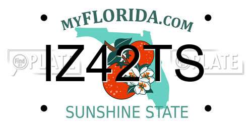 IZ42TS Florida License Plate