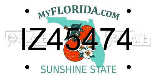 IZ45474 Florida License Plate