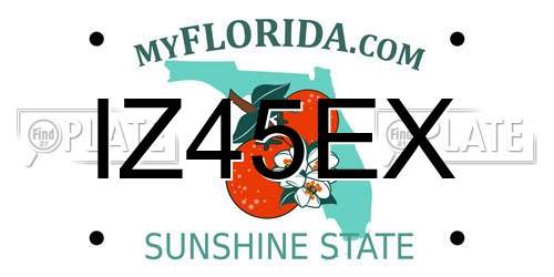 IZ45EX Florida License Plate