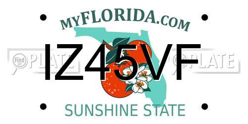 IZ45VF Florida License Plate