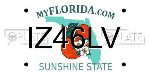 IZ46LV Florida License Plate