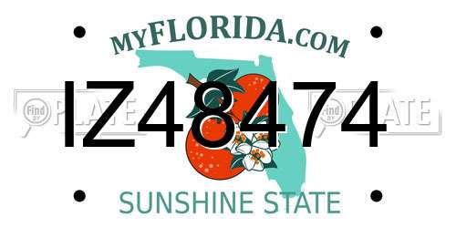 IZ48474 Florida License Plate