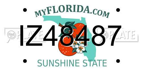IZ48487 Florida License Plate