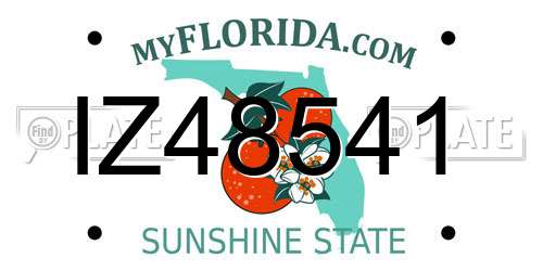 IZ48541 Florida License Plate