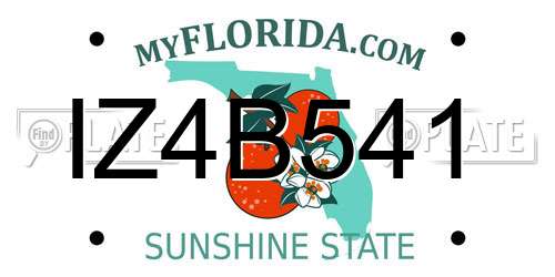 IZ4B541 Florida License Plate