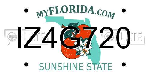 IZ4G720 Florida License Plate