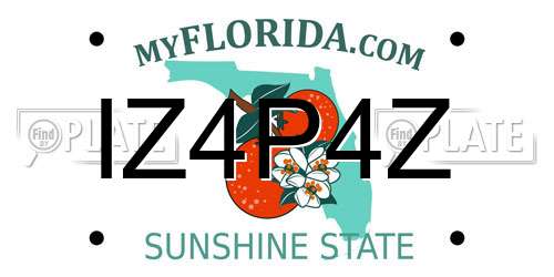 IZ4P4Z Florida License Plate
