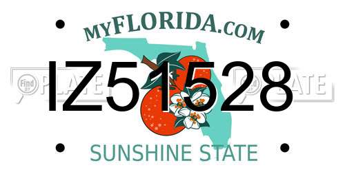 IZ51528 Florida License Plate
