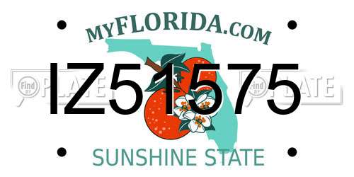 IZ51575 Florida License Plate