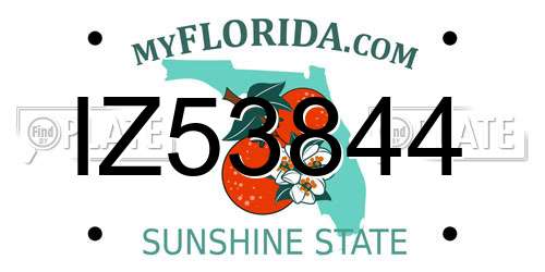 IZ53844 Florida License Plate