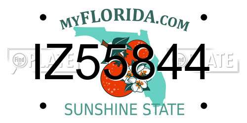 IZ55844 Florida License Plate