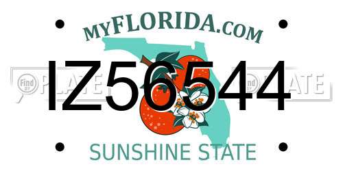 IZ56544 Florida License Plate