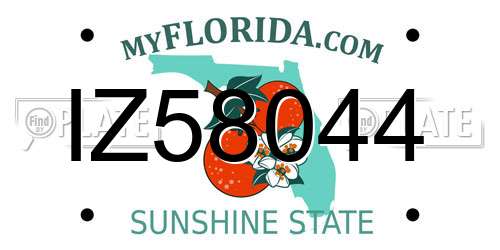 IZ58044 Florida License Plate