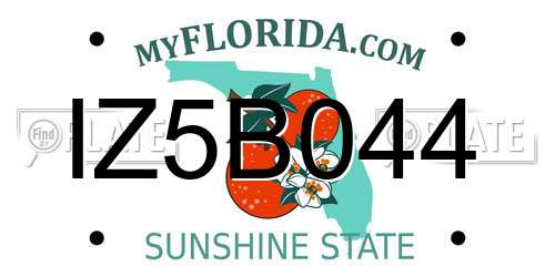 IZ5B044 Florida License Plate