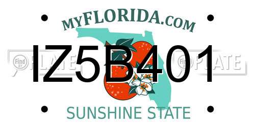 IZ5B401 Florida License Plate