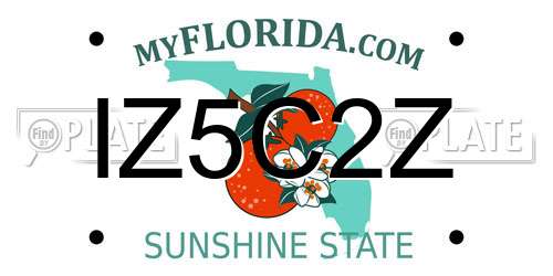 IZ5C2Z Florida License Plate