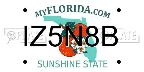 IZ5N8B Florida License Plate