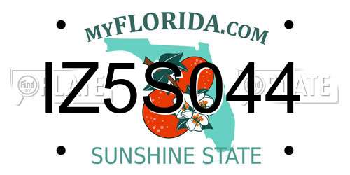 IZ5S044 Florida License Plate