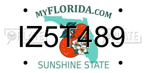 IZ5T489 Florida License Plate