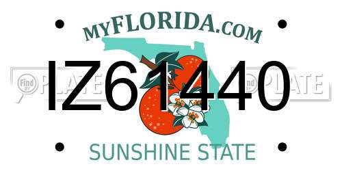 IZ61440 Florida License Plate