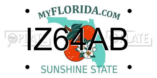 IZ64AB Florida License Plate