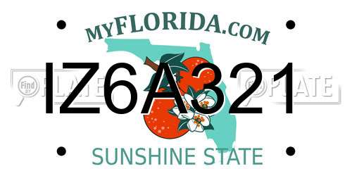IZ6A321 Florida License Plate