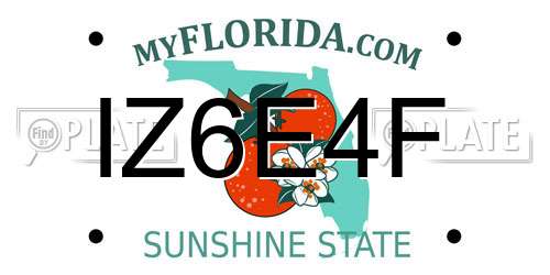 IZ6E4F Florida License Plate
