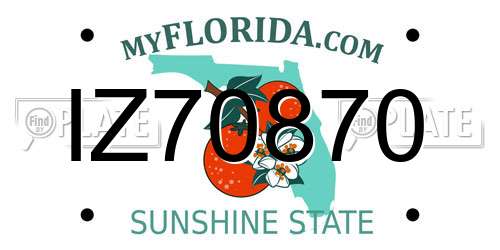 IZ70870 Florida License Plate