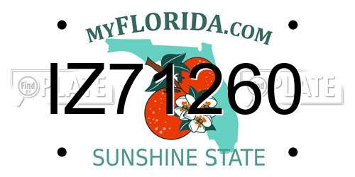 IZ71260 Florida License Plate